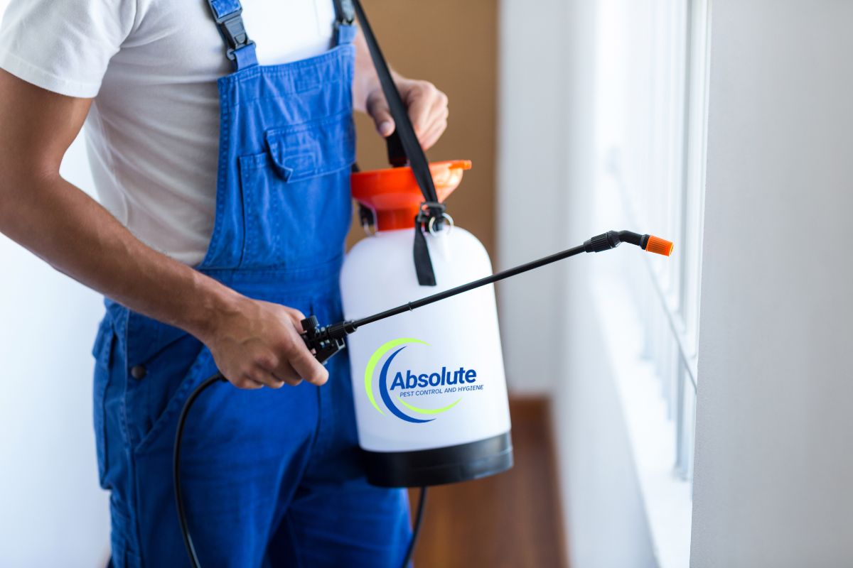 Services - Absolute Pest Control & Hygiene